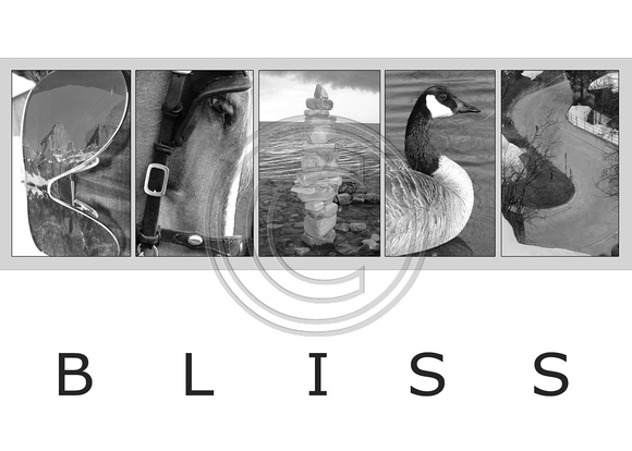 BLISS_01